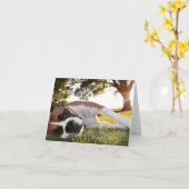 Het leven die ook schoppen Uw Staart? De Kaart van (Gele Bloem)