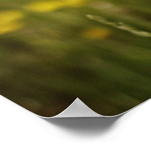 Het leven door een positief Lens-Poster Poster (Hoek)