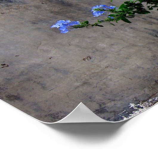 Het leven en de dood poster (Hoek)