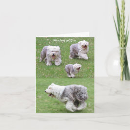 Het leven gebeurt! kaart