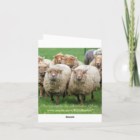 Het leven gebeurt! kaart (Achterkant)