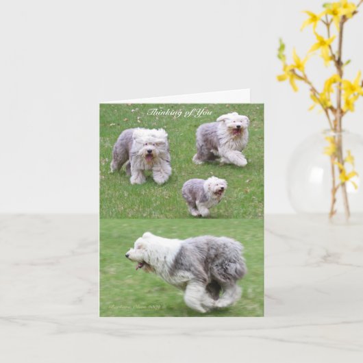 Het leven gebeurt! kaart (Gele Bloem)