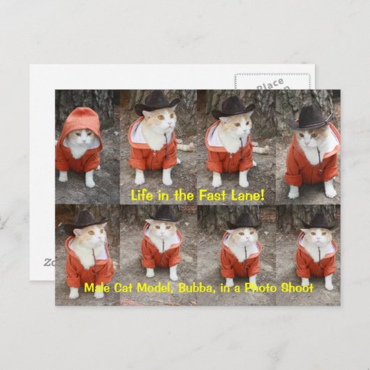 Het leven in de Fast Lane. Briefkaart (Voorkant / Achterkant)