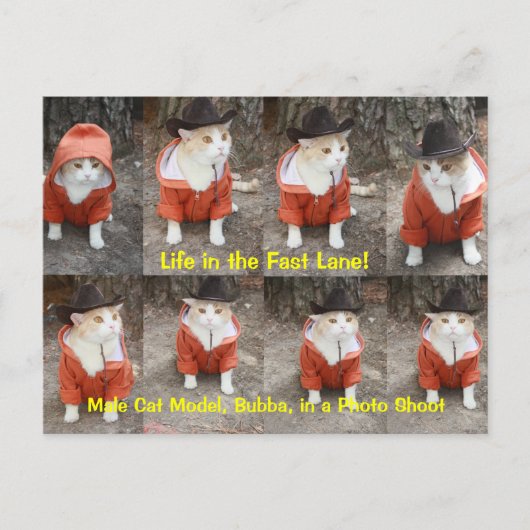 Het leven in de Fast Lane. Briefkaart (Voorkant)