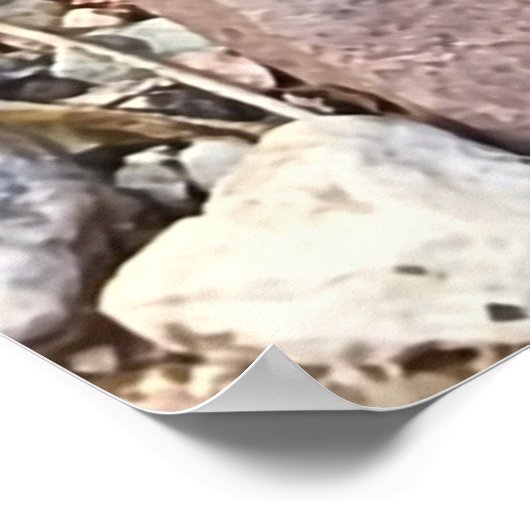 Het leven in de Rocks Foto Poster (Hoek)