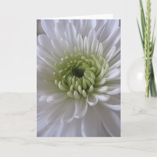 Het leven in de Wenskaarten van de Bloei (2) Kaart (Voorkant)