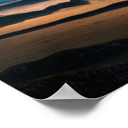 Het leven in de woestijn poster (Hoek)