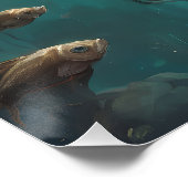 Het leven in een vissenkom 29 perfect poster (Hoek)