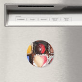 Het leven is als een doos bonbons magneet (Insitu (Vaatwasser))