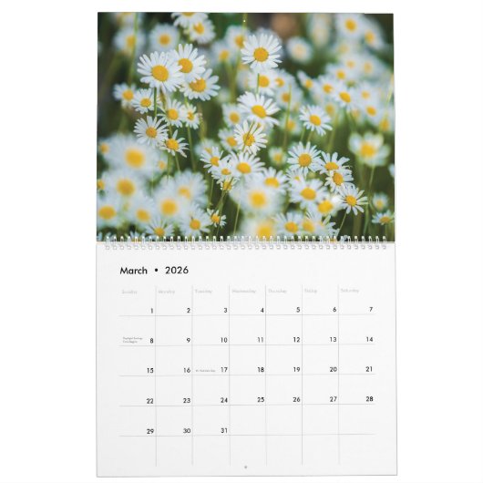 Het leven is als vier seizoenen 2025 kalender (Mar 2026)