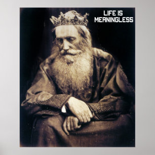 Het leven is betekenisloos poster
