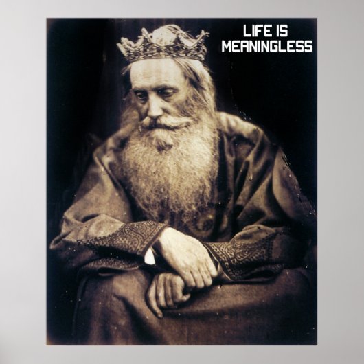 Het leven is betekenisloos poster (Voorkant)