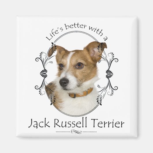 Het leven is beter Jack Russell Magnet (Voorkant)