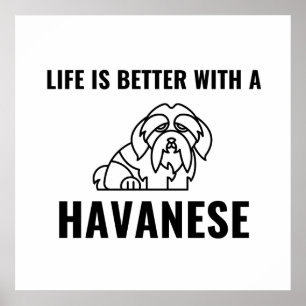 Het leven is beter met een havanees poster