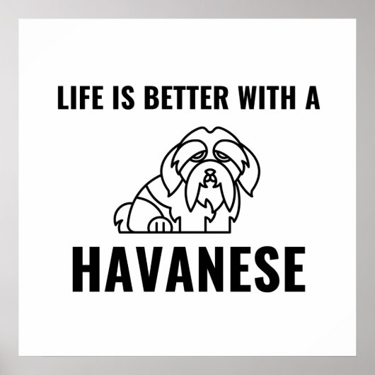 Het leven is beter met een havanees poster (Voorkant)