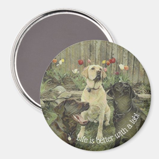 Het leven is beter met een laboratoriummagneet magneet (Voorkant / Achterkant)