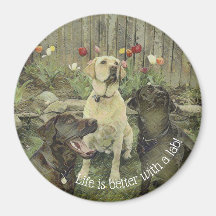 Het leven is beter met een laboratoriummagneet