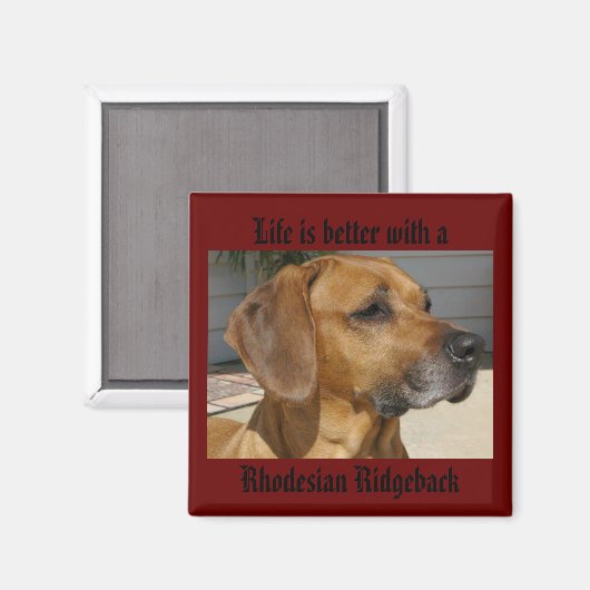 Het leven is beter met een RHODESIAN RIDGEBACK MAG Magneet (Voorkant / Achterkant)