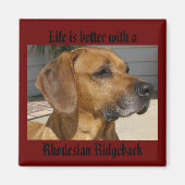 Het leven is beter met een RHODESIAN RIDGEBACK MAG Magneet (Voorkant)