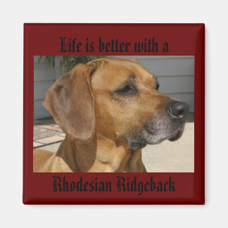 Het leven is beter met een RHODESIAN RIDGEBACK MAG Magneet