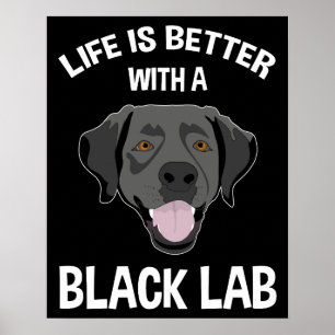 Het leven is beter met een zwart lab poster