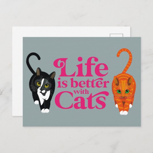 Het leven is beter met katten Briefkaart (Voorkant / Achterkant)