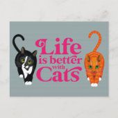 Het leven is beter met katten Briefkaart (Voorkant)