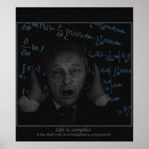 Het leven is complex poster