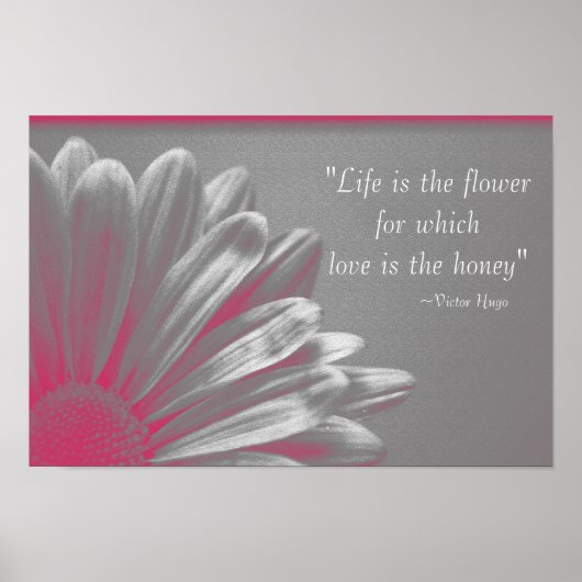 Het leven is de Bloem - Roze Daisy Poster (Voorkant)