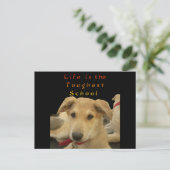 "Het leven is de moeilijkste school" Dog Art Print Briefkaart (Staand voorkant)