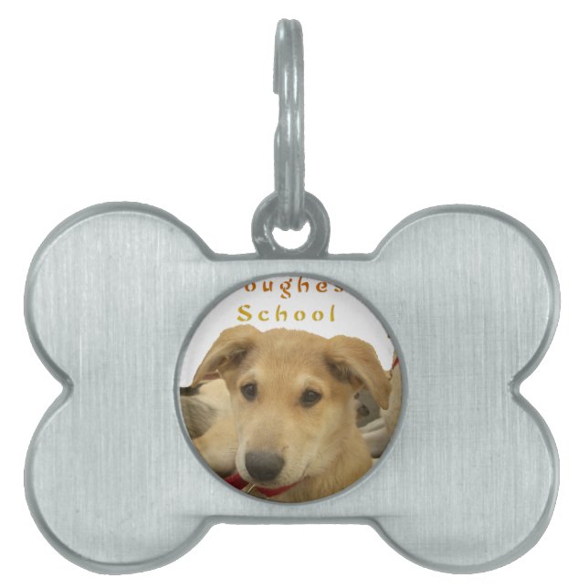 "Het leven is de moeilijkste school" Dog Art Print Huisdieren Naamplaatje (voorkant)