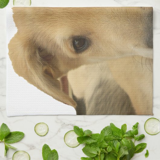 "Het leven is de moeilijkste school" Dog Art Print Theedoek (Gevouwen)