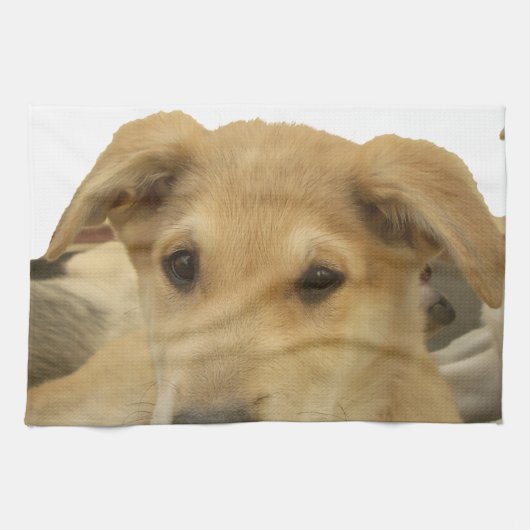 "Het leven is de moeilijkste school" Dog Art Print Theedoek (Horizontaal)