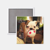 Het leven is een bal! magneet (Voorkant / Achterkant)