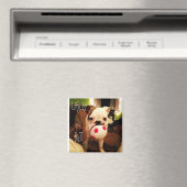 Het leven is een bal! magneet (Insitu (Vaatwasser))