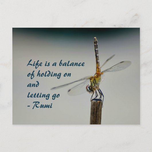 Het leven is een Balance Quote Dragonfly Fotografi Briefkaart (Voorkant)