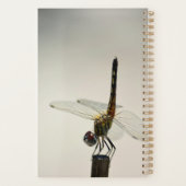 Het leven is een Balans-citaat Dragonfly Planner (Achterkant)