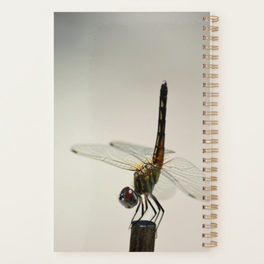 Het leven is een Balans-citaat Dragonfly Planner (Achterkant)