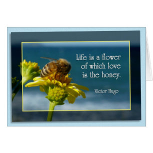 Het leven is een Bloem