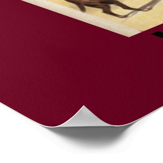 Het leven is een Circus Poster (Hoek)