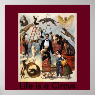 Het leven is een Circus Poster