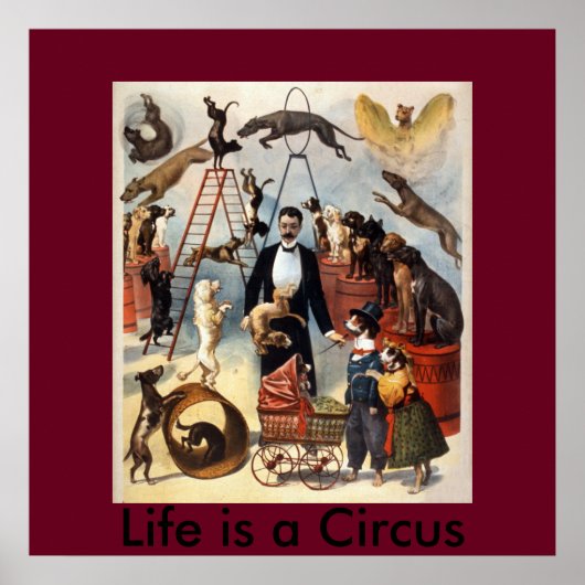 Het leven is een Circus Poster (Voorkant)