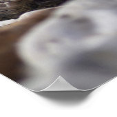 Het leven is een evenwicht poster (Hoek)