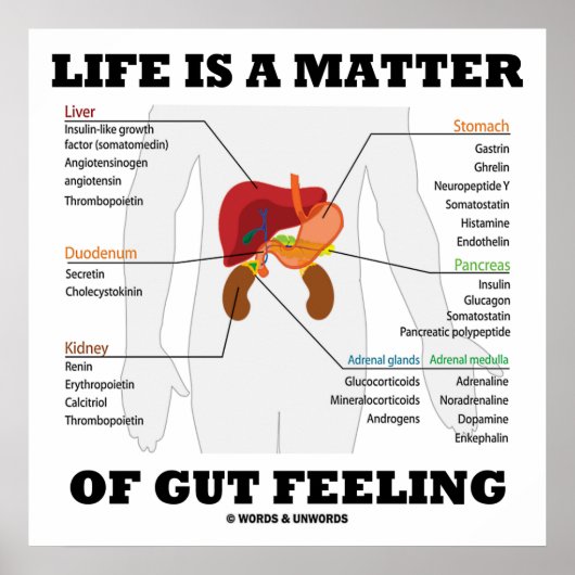 Het leven is een kwestie van het maken van een ana poster (Voorkant)