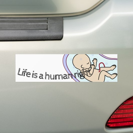 Het leven is een mensenrecht! bumpersticker (Op auto)