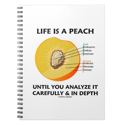 Het leven is een perzik totdat je de diepte zorgvu notitieboek (Voorkant)