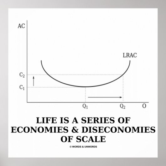 Het leven is een reeks van economieën & deseconomi poster (Voorkant)