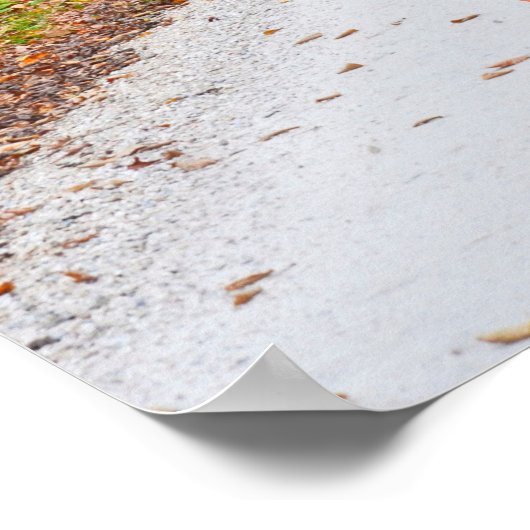 Het leven is een reis poster (Hoek)