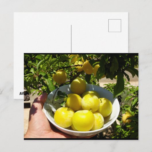 Het leven is een schaal pruimen briefkaart (Voorkant / Achterkant)
