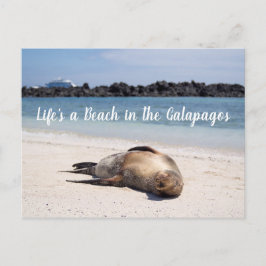 Het leven is een strand in het Briefkaart van Gala